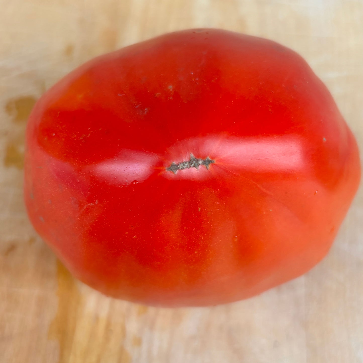 Anna Russian Tomato Seeds