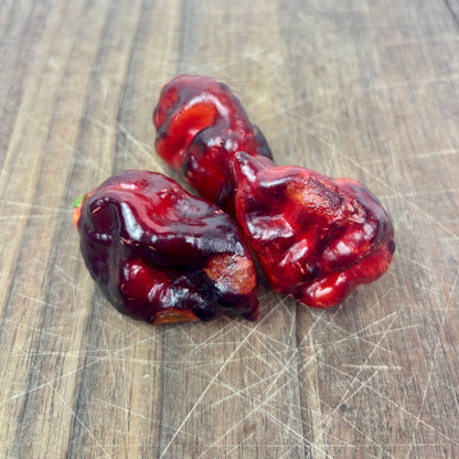 ALIEN METAMORPHOSIS PURPLE PEPPER SEEDS