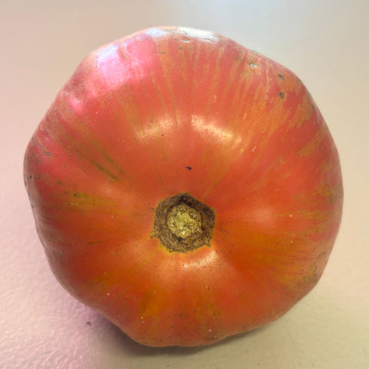 KOZULA 138 PINK TOMATO SEEDS