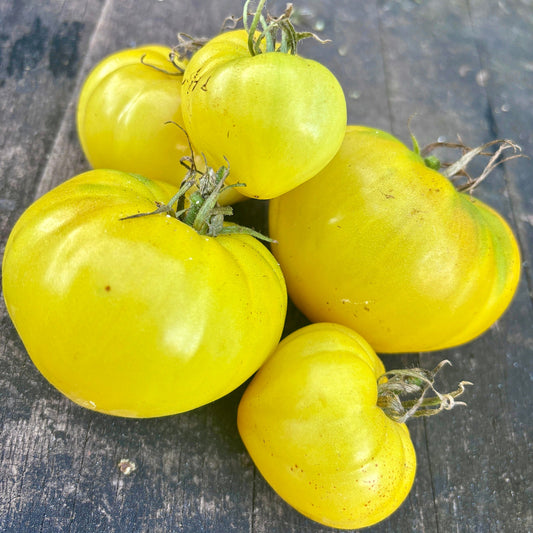 BANANA DONUTS DWARF TOMATO SEEDS