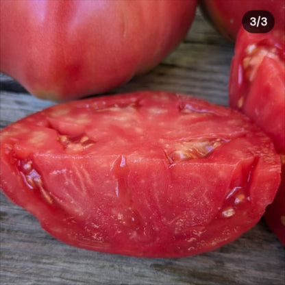 Rosa de Cadiz Tomato Seeds