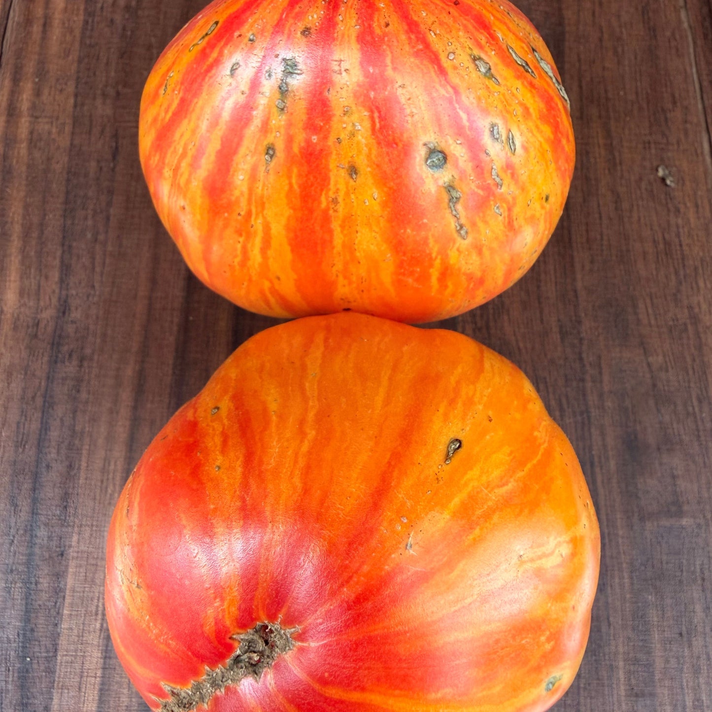 SOFIA’S SWEET CARAMEL TOMATO SEEDS