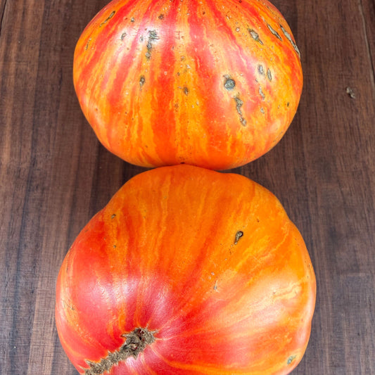 SOFIA’S SWEET CARAMEL TOMATO SEEDS