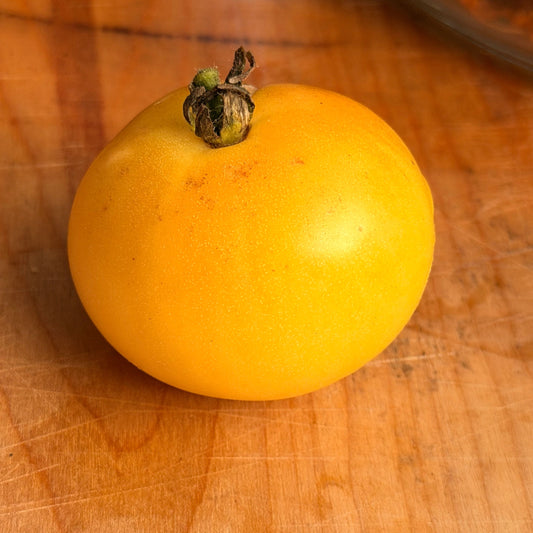 DWARF HOWARDS RAILROAD TOMATO SEEDS