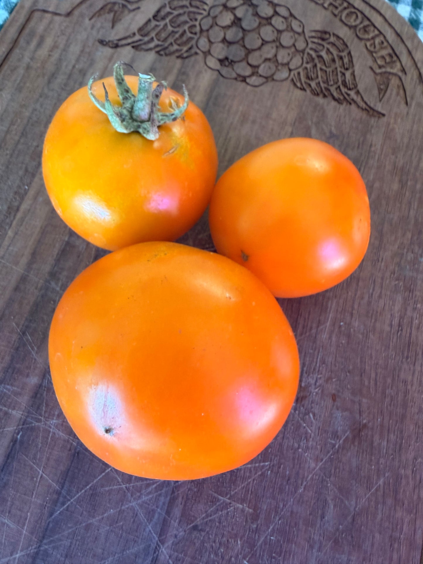 SKYKOMISH TOMATO SEEDS