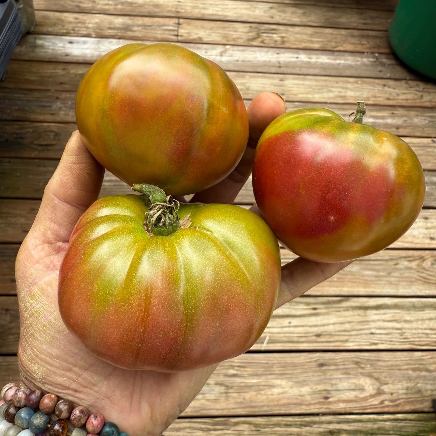 MAPLE HEART TOMATO SEEDS