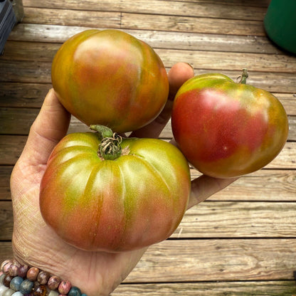 MAPLE HEART TOMATO SEEDS