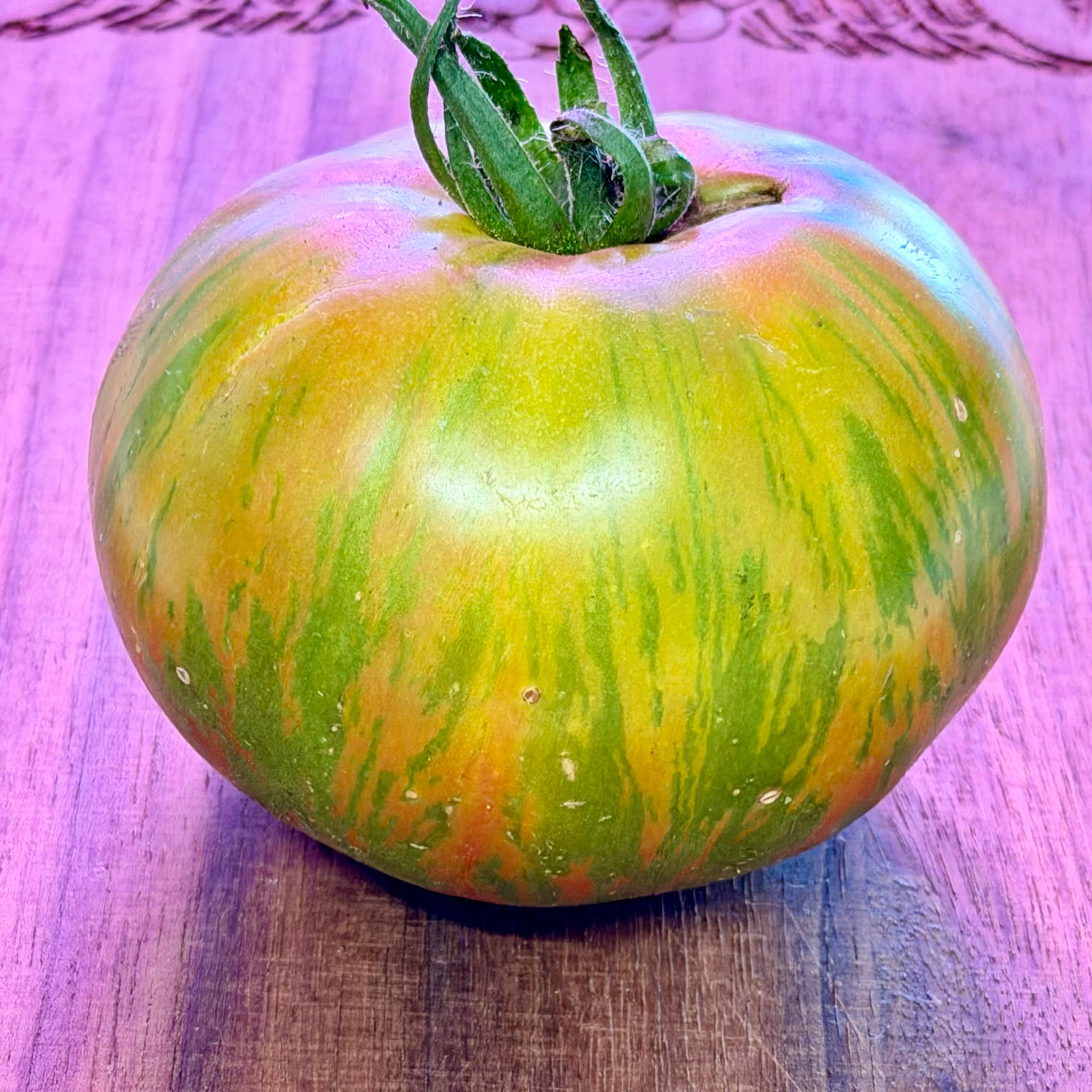 KOZULA 25 TOMATO SEEDS – Secret Seed Cartel
