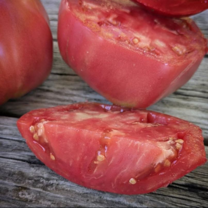 Rosa de Cadiz Tomato Seeds
