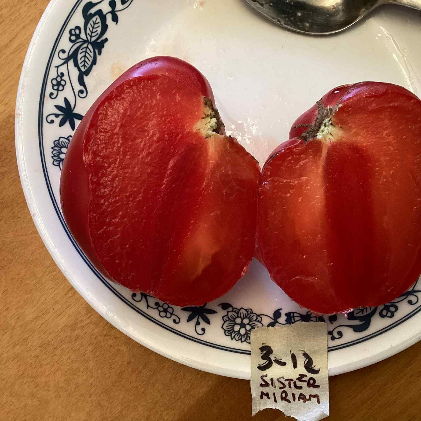 Sister Miriam Tomato Seeds