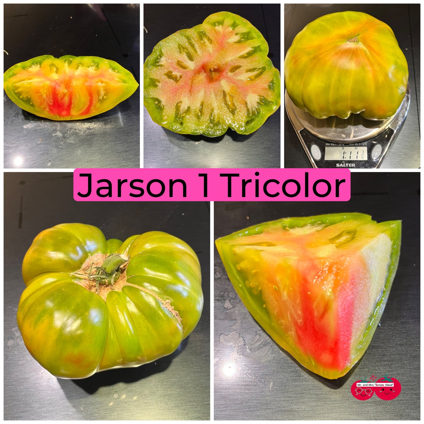 JARSON 1 TRICOLOR TOMATO SEEDS