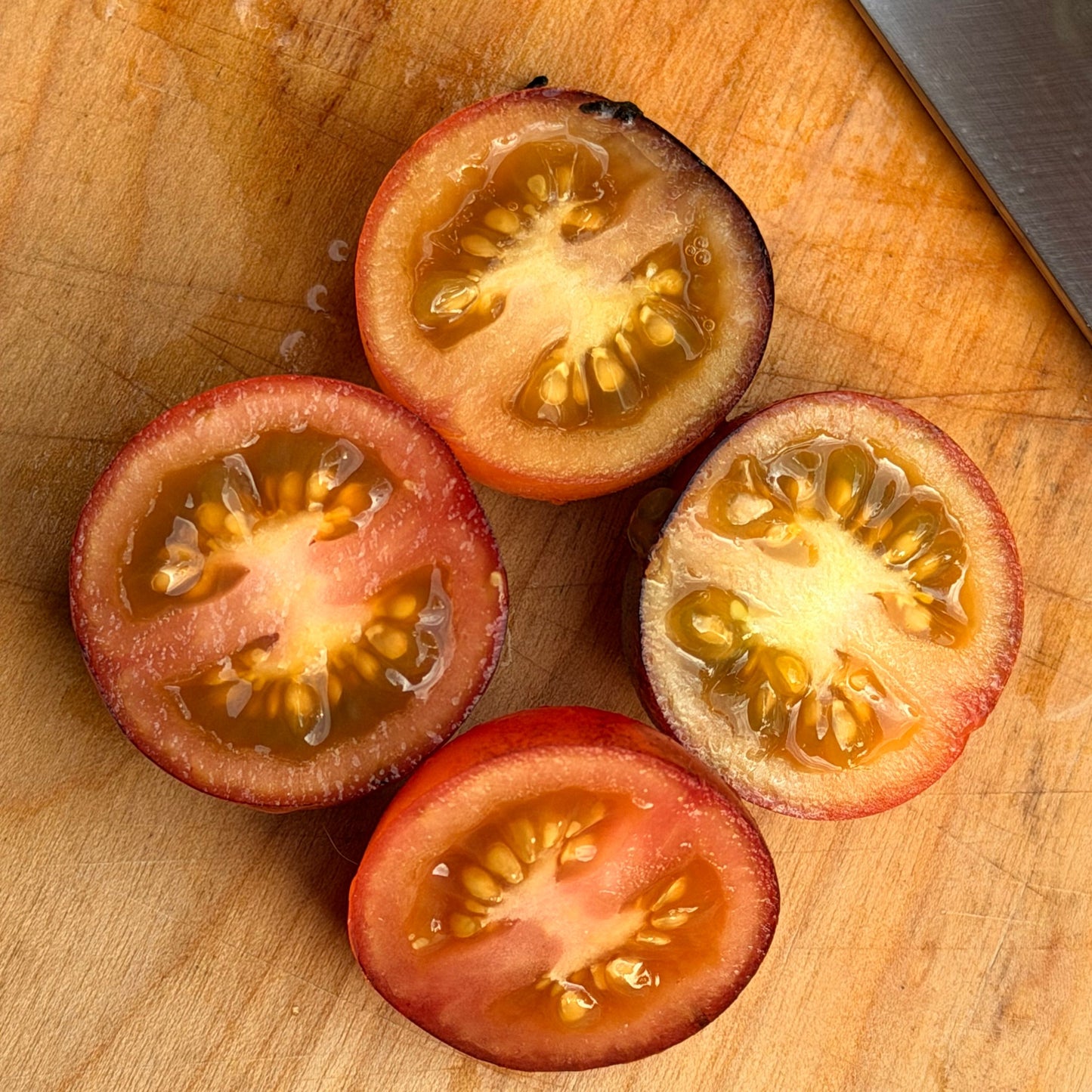 MASTER TOMATO SEEDS