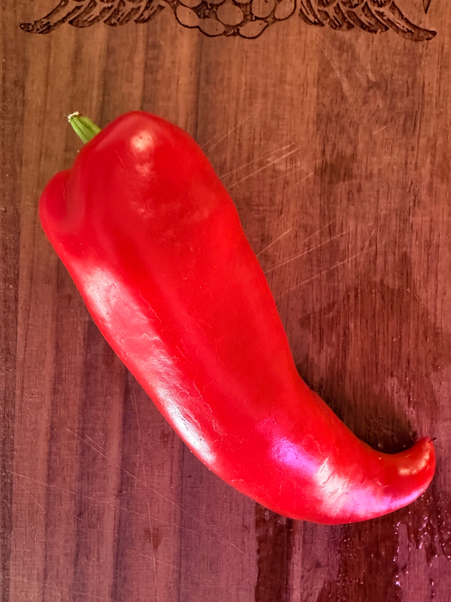 GALAXY BELL SWEET PEPPER