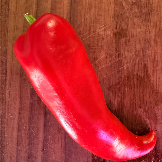GALAXY BELL SWEET PEPPER
