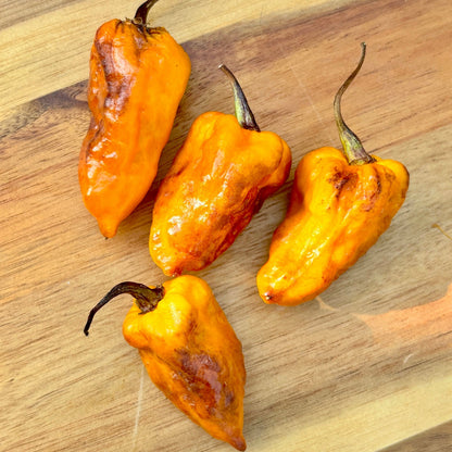 PIMENTA HABANERO PEPPER SEEDS