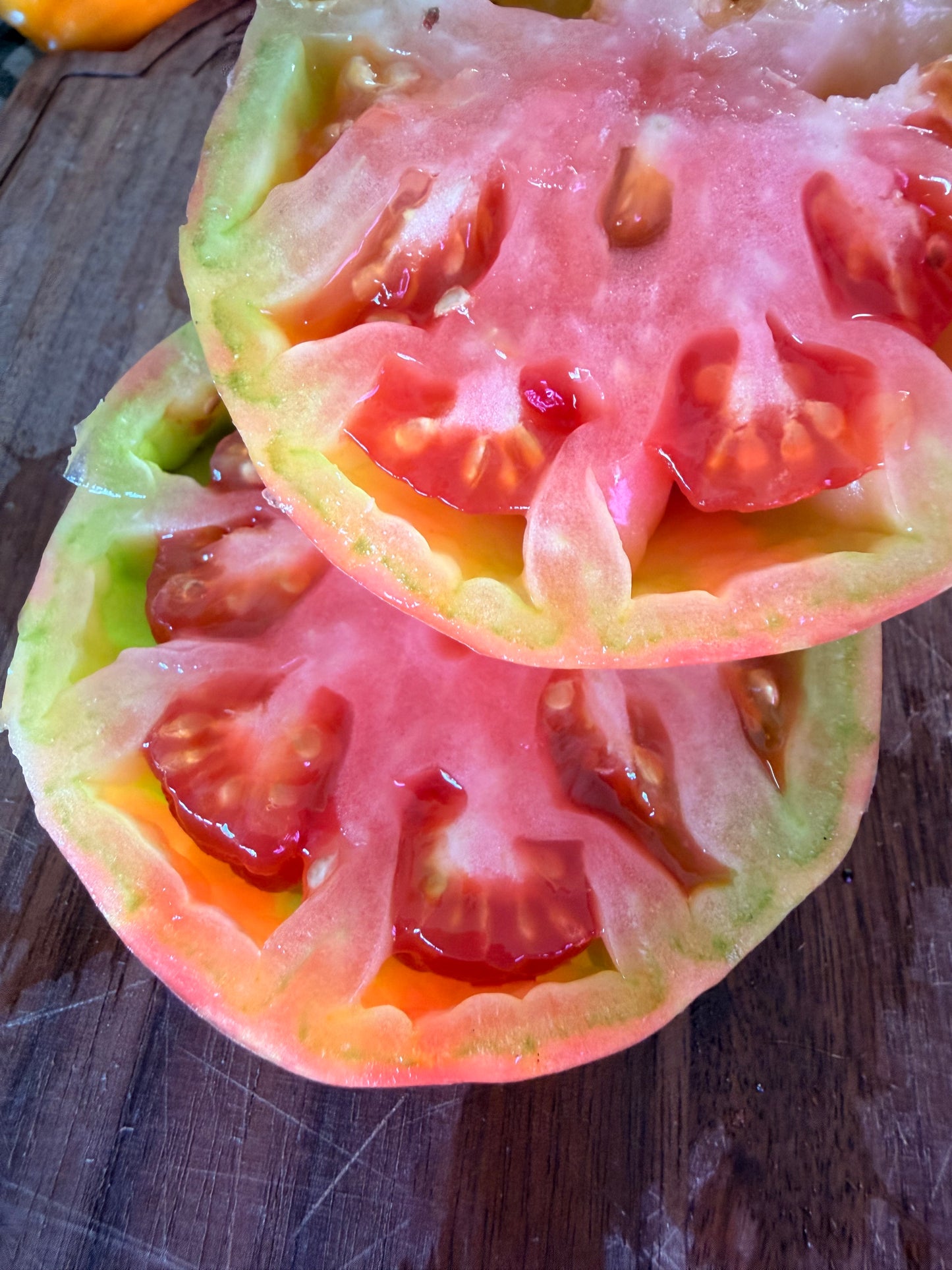 KREMLIN CHIMING CLOCK TOMATO SEEDS