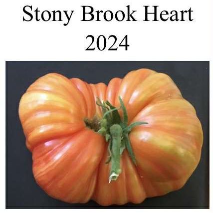 Stony Brook Heart Dwarf Tomato Seeds
