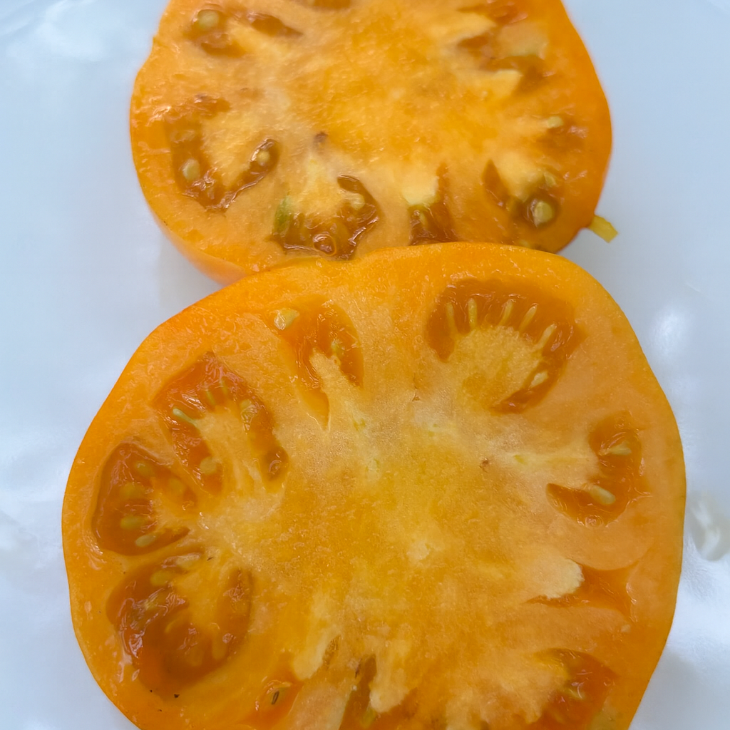 Arkansas Marvel Tomato Seeds