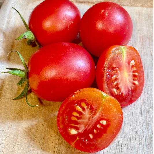 BENDIGO DAWN DWARF TOMATO SEEDS