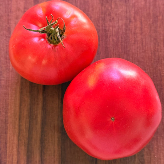 KOZULA 52-2 TOMATO SEEDS