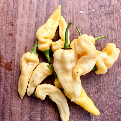 DEVILS TONGUE WHITE PEPPER SEEDS