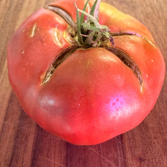 RED TRASH PANDA TOMATO SEEDS