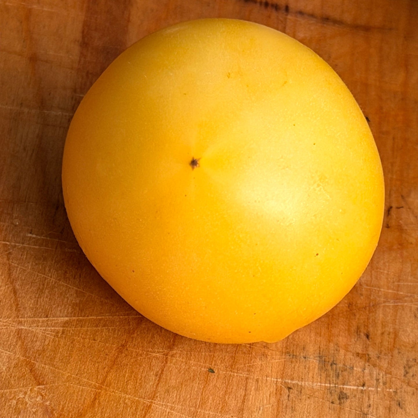 DWARF HOWARDS RAILROAD TOMATO SEEDS