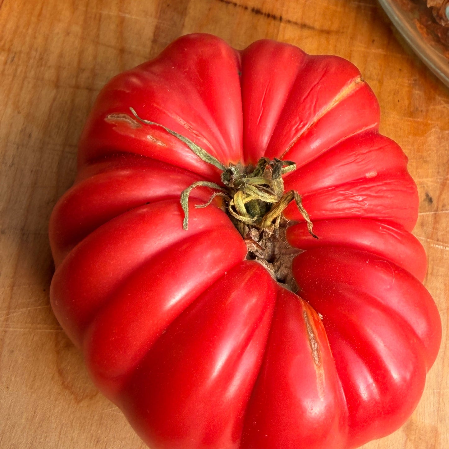 KOZULA 37 TOMATO SEEDS