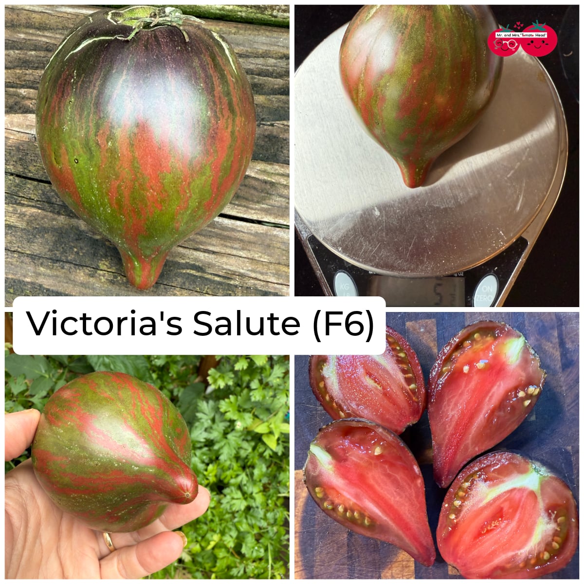 VICTORIA’S SALUTE
