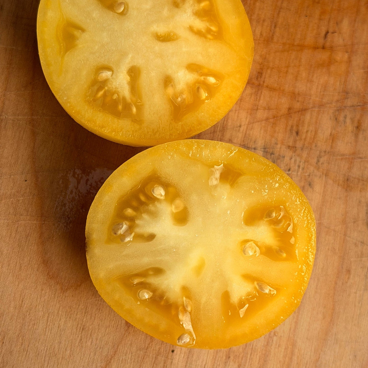 DWARF HOWARDS RAILROAD TOMATO SEEDS