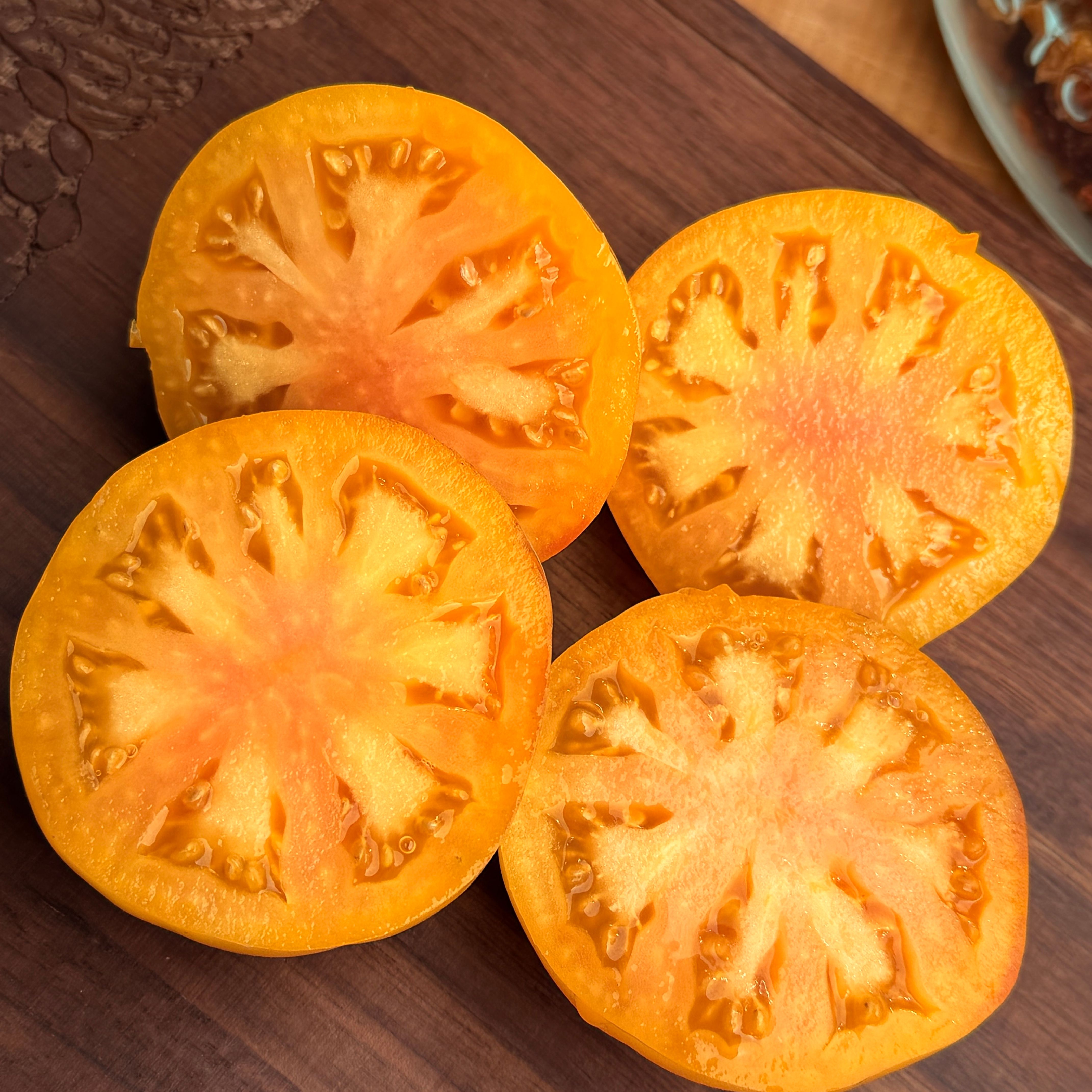 tomato._530さん、7-29-6 KOZULA 156 TOMATO SEEDS – Secret Seed Cartel