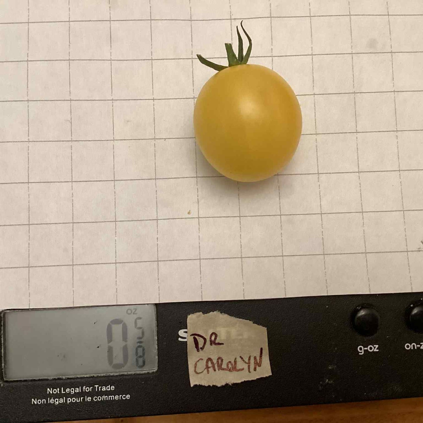 Dr. Carolyn Tomato Seeds