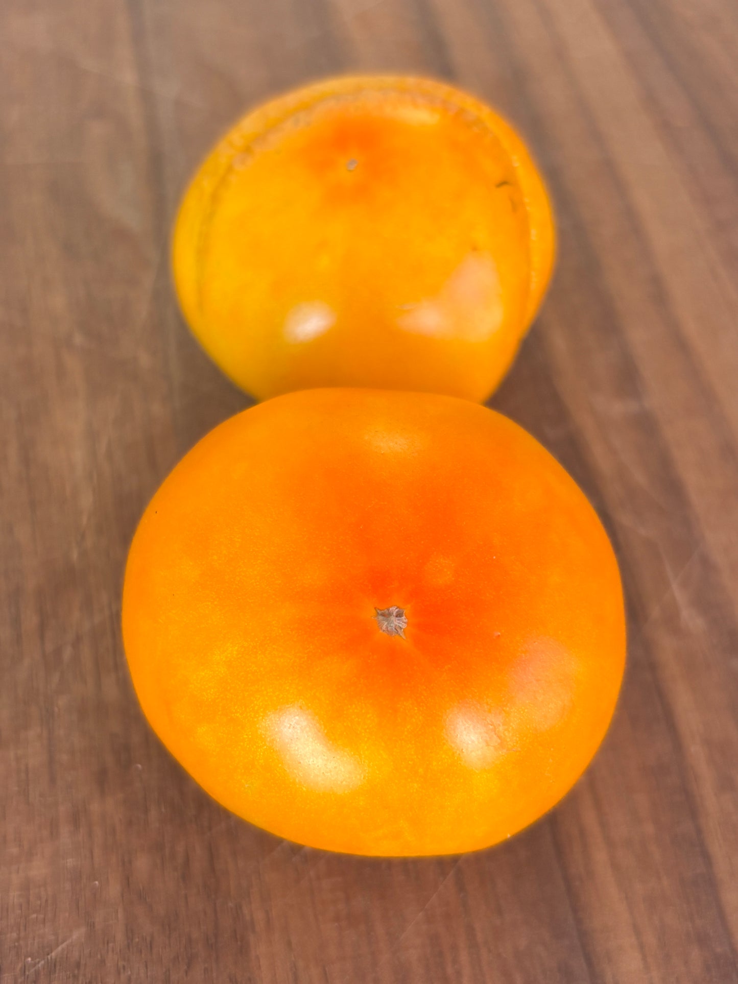 TUPELO HONEY SEEDS