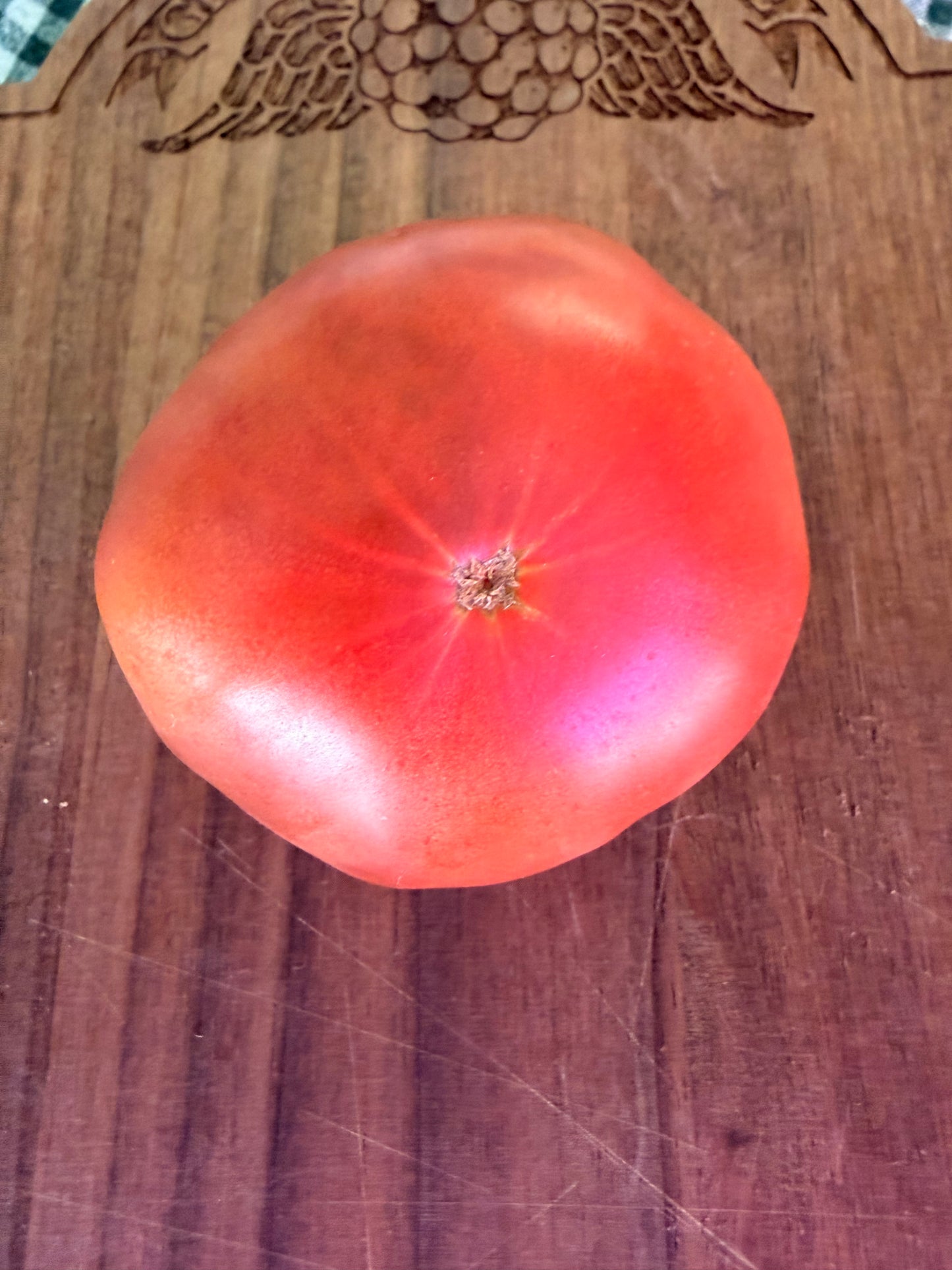 RED TRASH PANDA TOMATO SEEDS