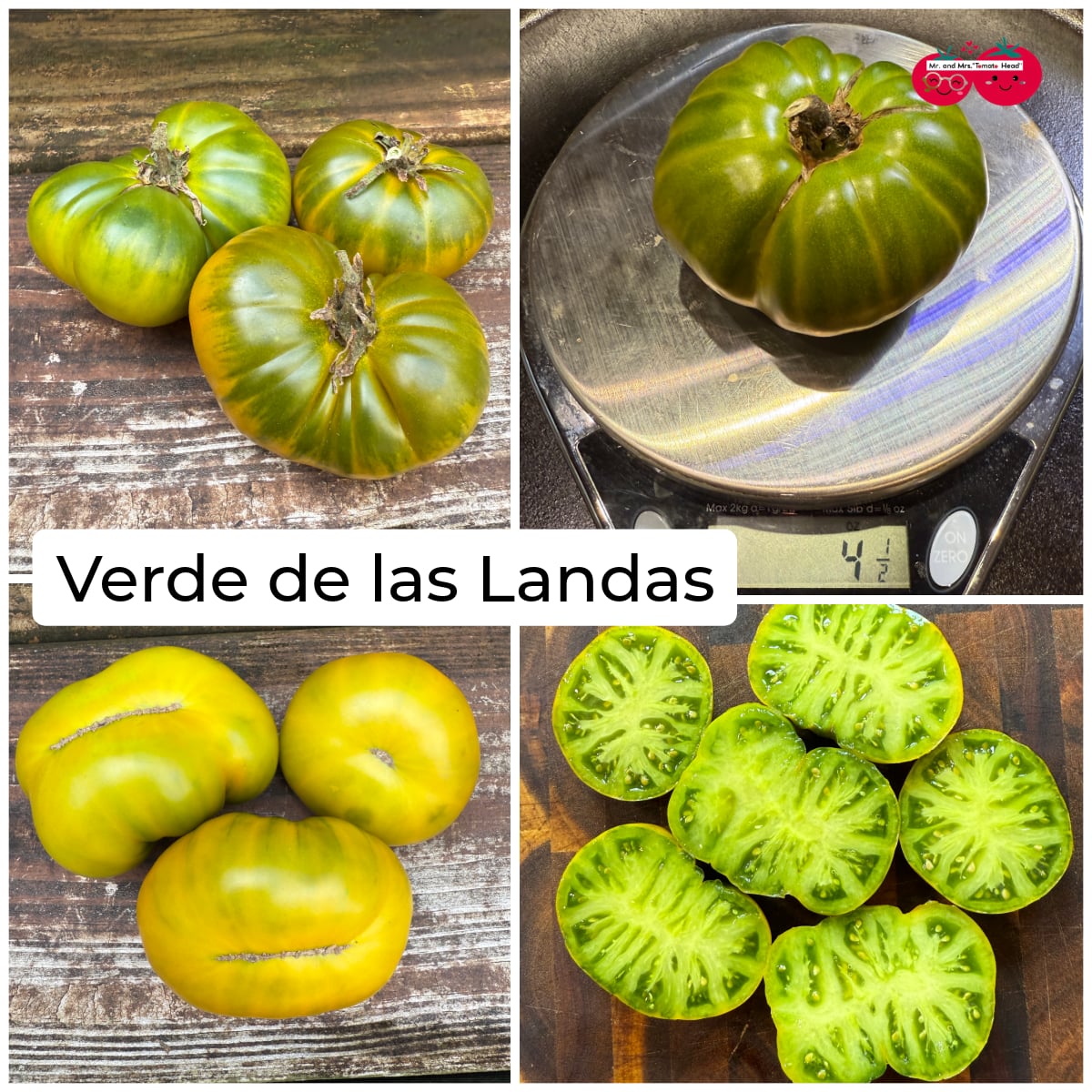 VERDE DE LAS LANDAS
