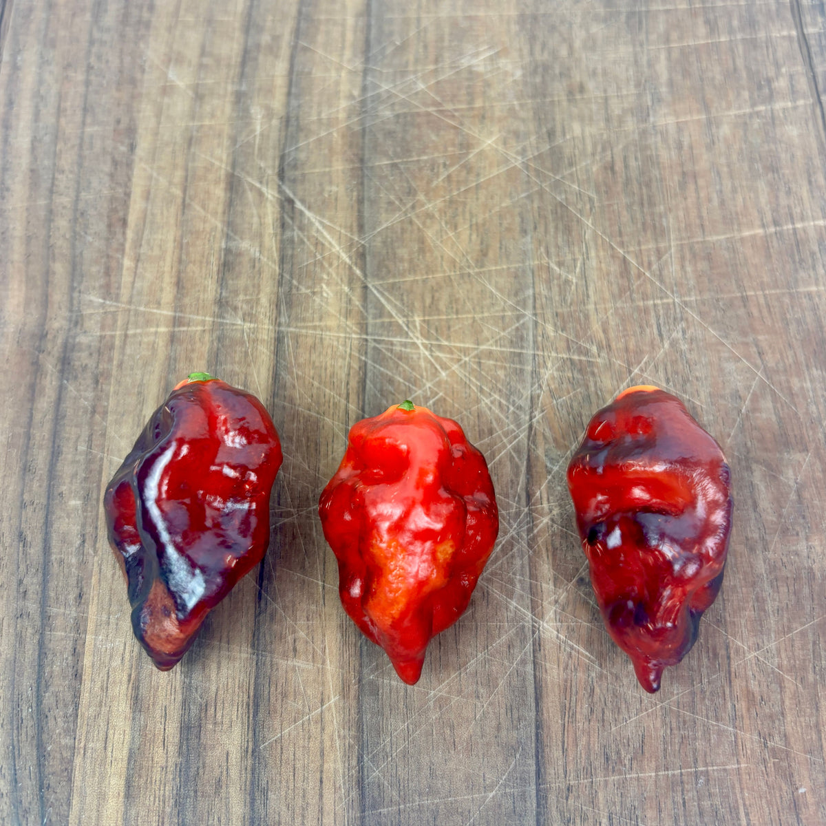 ALIEN METAMORPHOSIS PURPLE PEPPER SEEDS