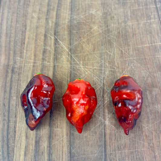 ALIEN METAMORPHOSIS PURPLE PEPPER SEEDS