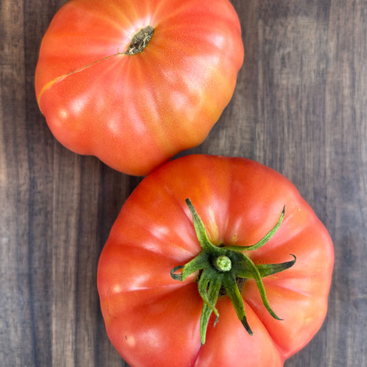 KOZULA 126 + GRAND TOMATO SEEDS