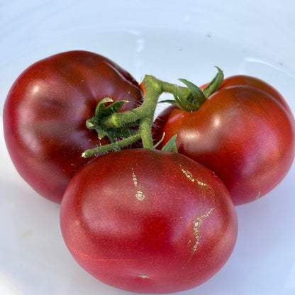 FIREBIRD SWEET DWARF TOMATO SEEDS