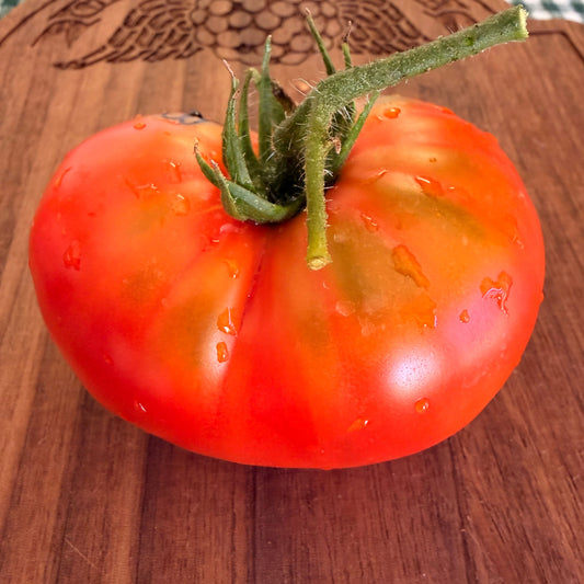 ABANILLAS TOMATO SEEDS