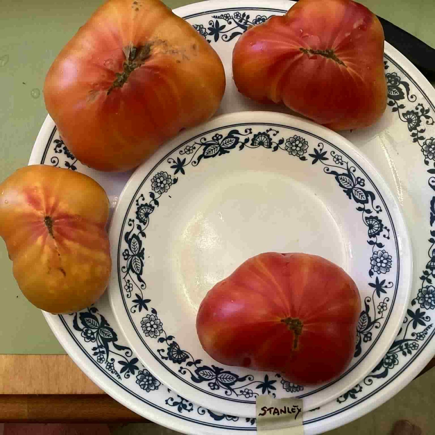 Stanley Tomato Seeds