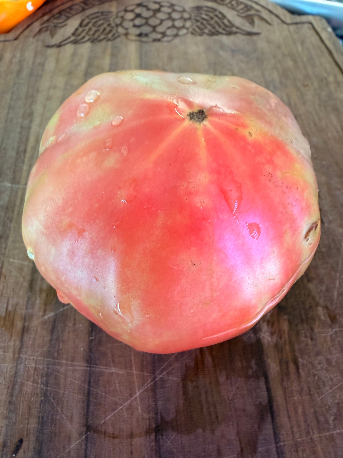 KREMLIN CHIMING CLOCK TOMATO SEEDS