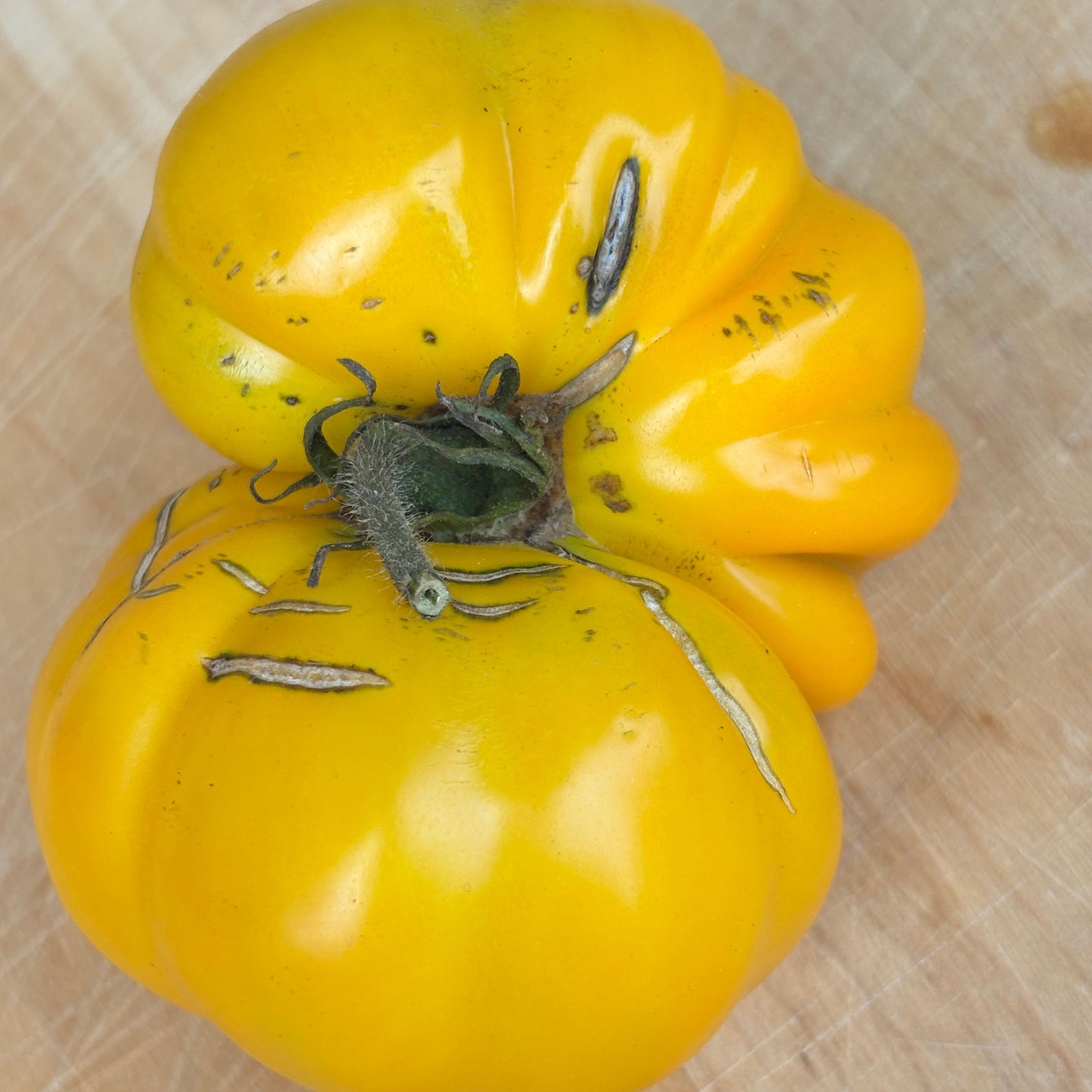 AMERICAN RIBBED YELLOW TOMATO SEEDS