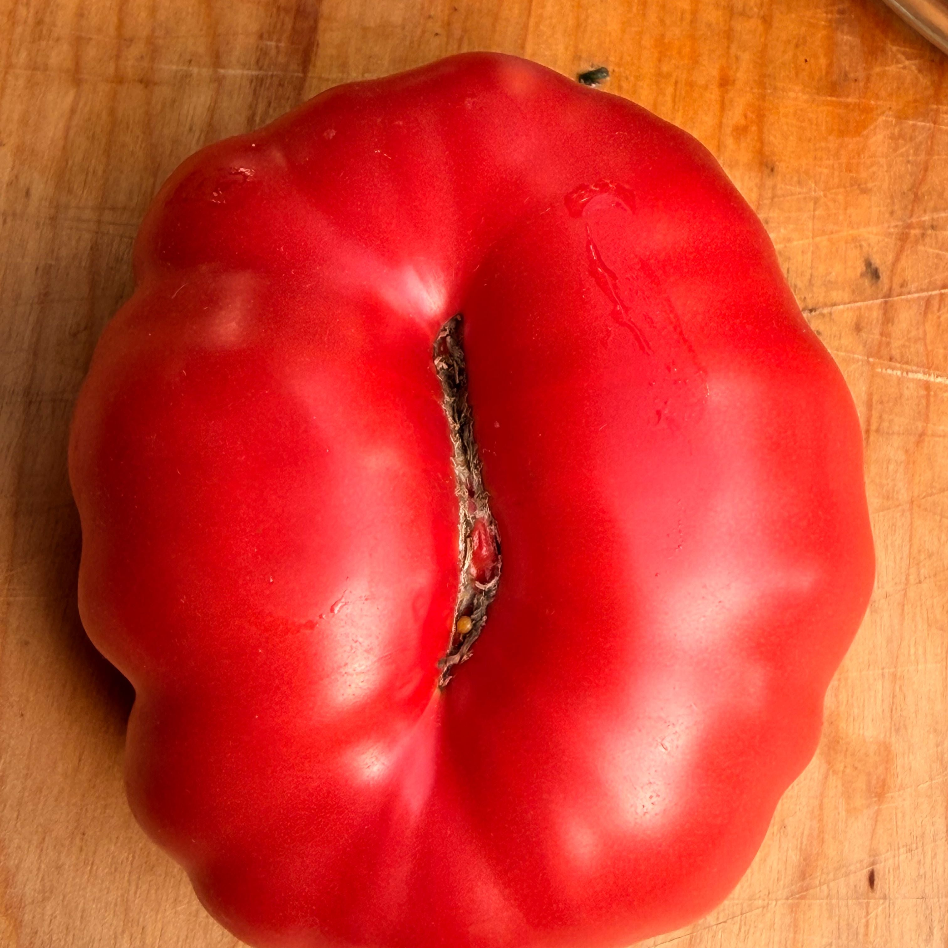 【tomato】 KOZULA 37 TOMATO SEEDS – Secret Seed Cartel