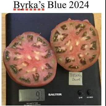 Byrka’s Blue Tomato Seeds