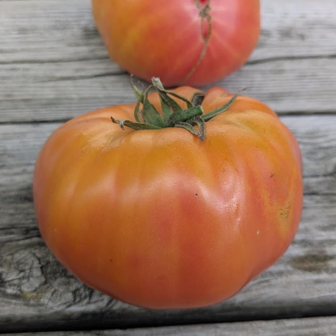 Marie Tomato Seeds
