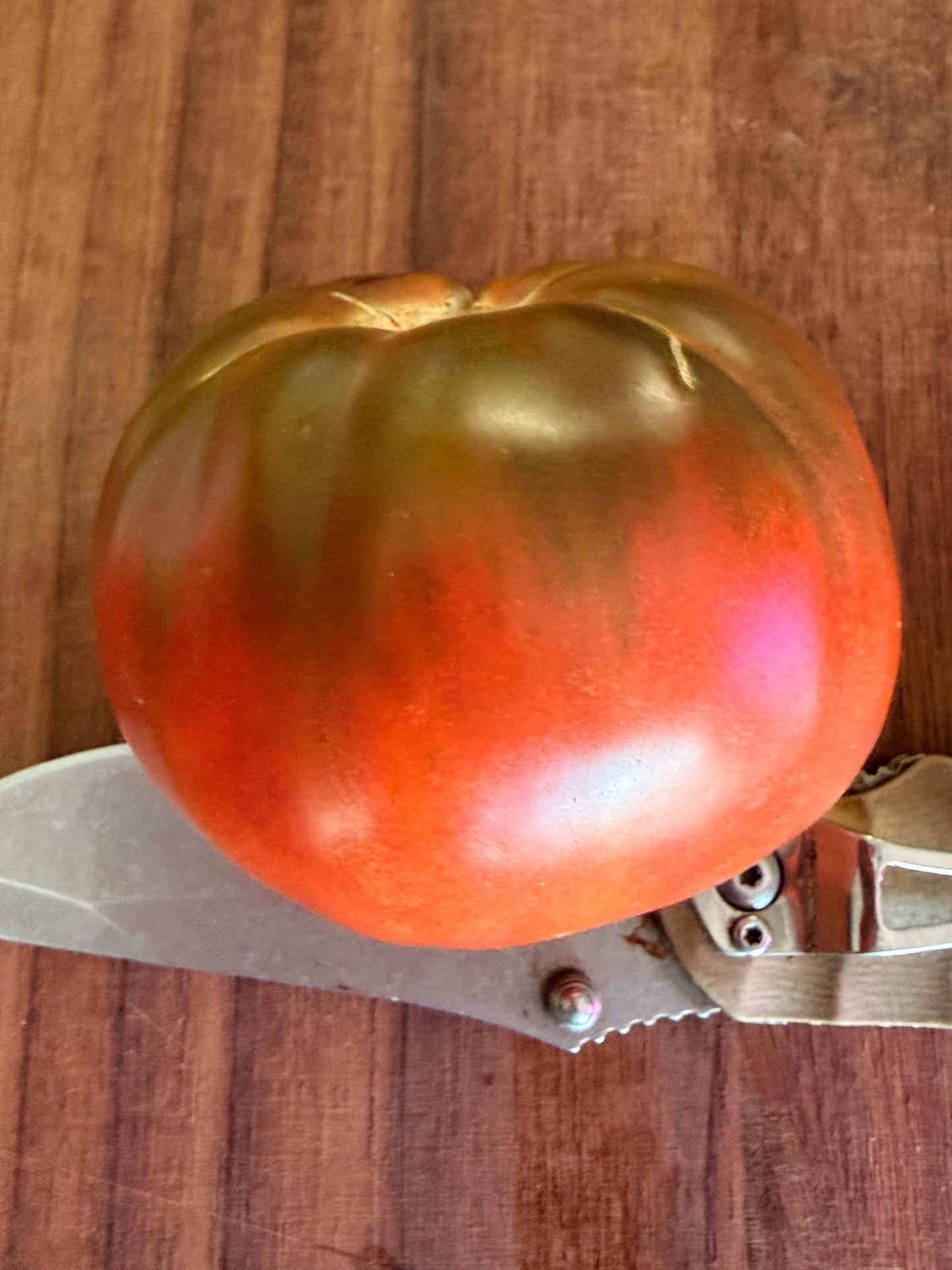 MORDOVIAN MALACHITE TOMATO SEEDS