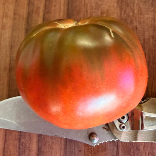 MORDOVIAN MALACHITE TOMATO SEEDS