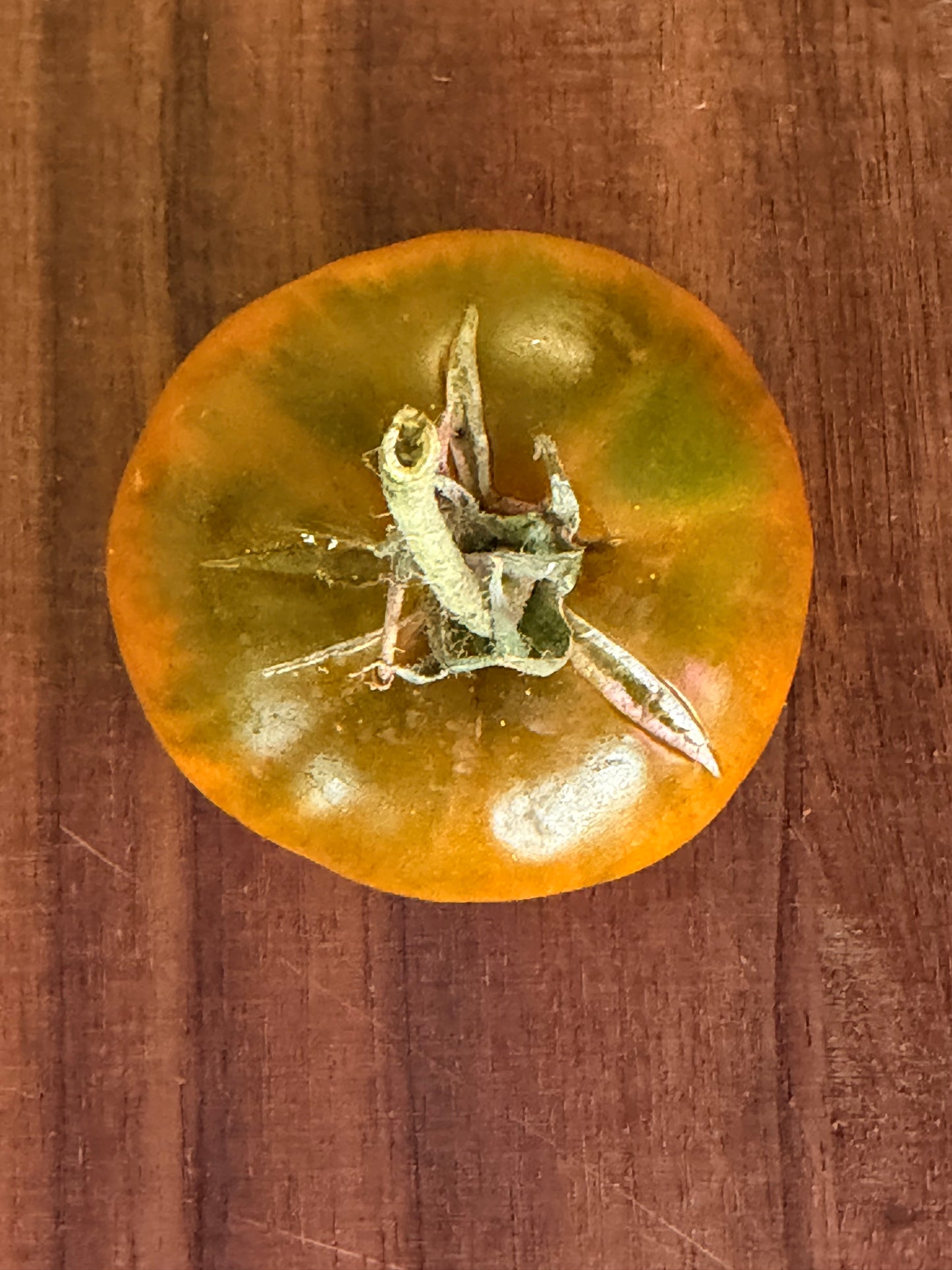 MALACHITE BOX TOMATO SEEDS