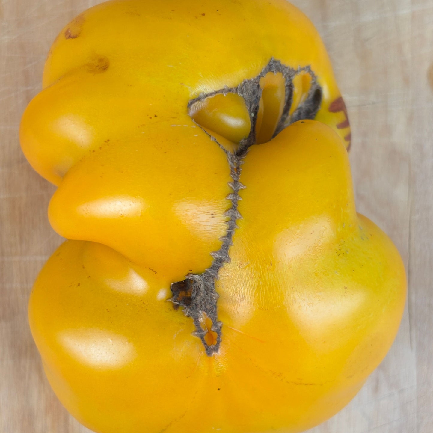 AMERICAN RIBBED YELLOW TOMATO SEEDS
